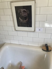 a framed photo of a dog in a bathroom