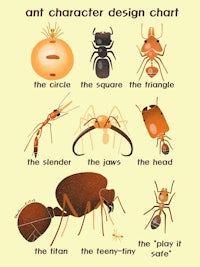 ant character design chart