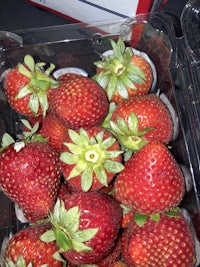 a bunch of strawberries in a plastic container